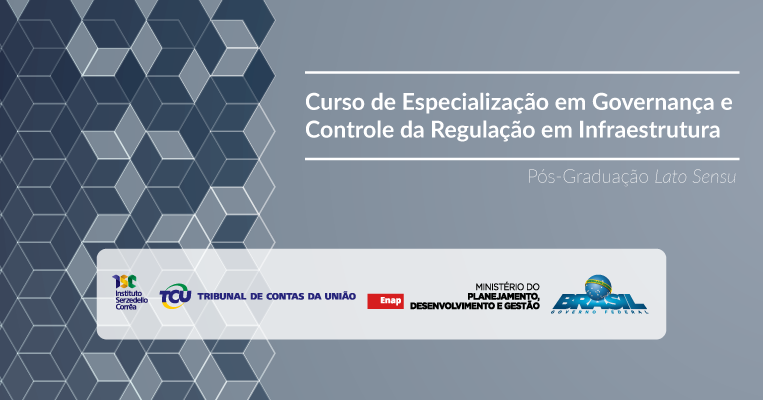 Governança e Controle da Regulação em Infraestrutura