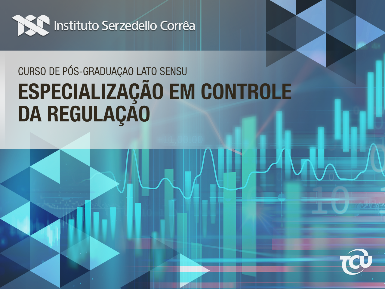 Especialização em Controle da Desestatização e da Regulação